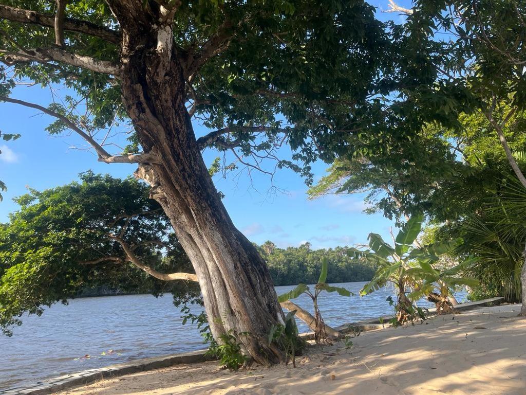 Pousada Paraiso Cultural Barreirinhas Exteriér fotografie